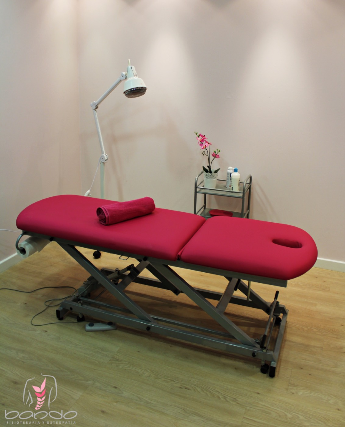 Punción seca PGM en Fisioterapia Bando, Madrid